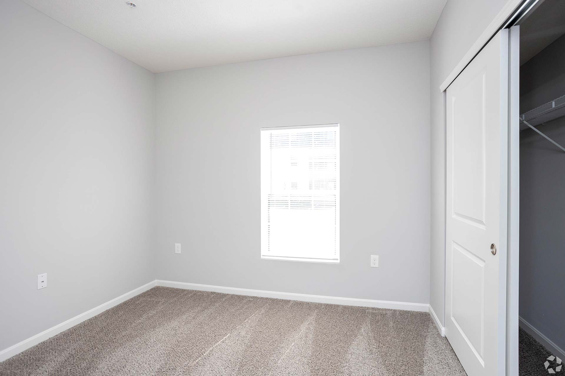 empty room with carpet and closet doors at The Adams Pointe
